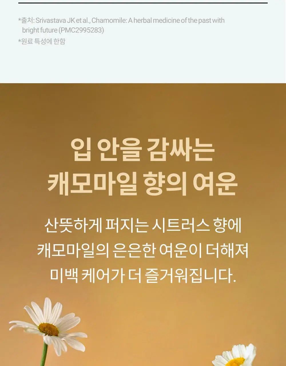 [비건 치아미백] 언파 차차 캐모마일 미백치약 90g 상세페이지 24